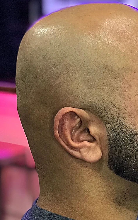 Cabeza afeitada al ras con barba perfilada, vista desde atrás y de lado.
